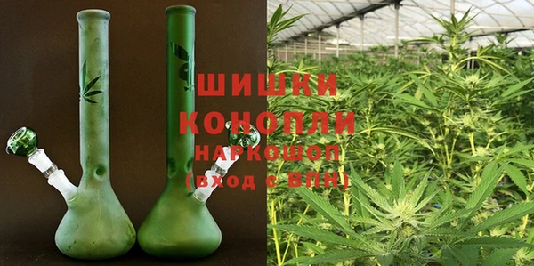 гидропоника Иннополис