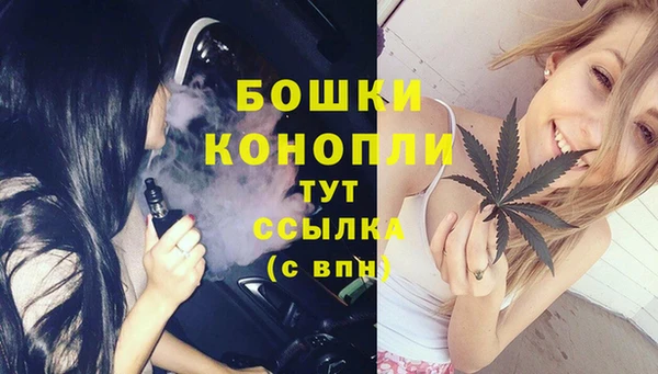 2c-b Инта