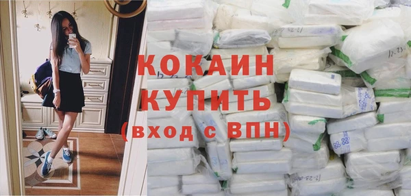 крисы Инсар