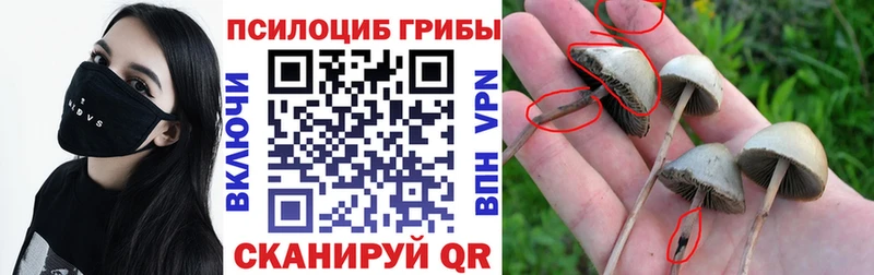 продажа наркотиков  кракен сайт  Псилоцибиновые грибы мухоморы  Мирный 