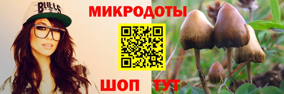 Галлюциногенные грибы мухоморы Мирный